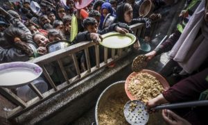 UN-Led Report Reveals 282 Million People Faced Acute Hunger Last Year