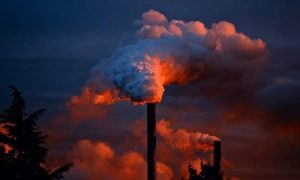 US to Cut Power Sector Carbon Emissions to Combat Climate Crisis