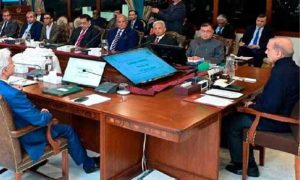 Pakistan’s cabinet, amendments, Special Professional Pay Scales Policy 2019, key appointments