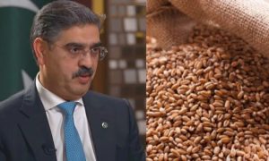 Committee Probing Wheat Import Scandal Summons Ex-Caretaker PM Kakar