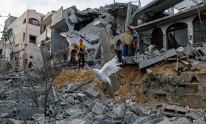 Israeli Forces Kill Six in Rafah