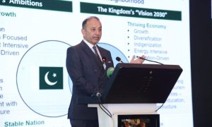 Pakistan’s Petroleum Minister, Musadik Malik, private sectors, Pakistan-Saudi Arabia Investment Conference, Shahbaz Sharif, Gulf Cooperation Council, GCC,
