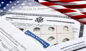 Navigating Path To Voting Rights Understanding Immigration, Citizenship In US