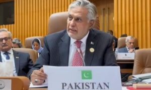 OIC Summit Pakistan Voices Deep Concern Over Israeli Brutalities in Gaza