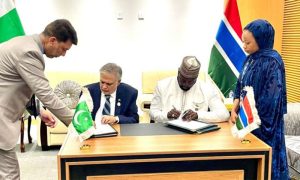 Pakistan, Niger Reaffirm Commitment to Strengthen Bilateral Cooperation