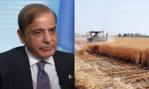 Pakistan’s Prime Minister, Shehbaz Sharif, wheat, Pakistan Agricultural Storage, PASSCO, farmers,
