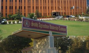 Sindh University Trains Agriculture Workers on Climate-Resilient Farming