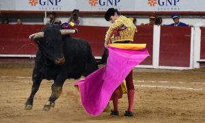 Spain's Decision to Eliminate National Bullfighting Award Ignites Controversy