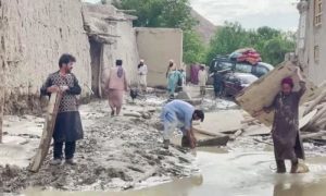 Political Groups, Flood Crisis in Afghanistan, Taliban, floods in Afghanistan, Jamiat-e Islamic party, Afghan diaspora, flood victims,