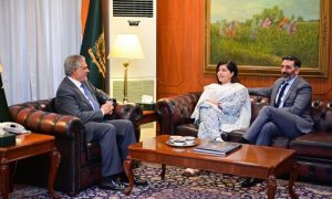 Pakistan, Britain, Cooperation, House of Lords, Sayeeda Warsi, Foreign Minister, Ishaq Dar, relations
