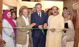 Art Exhibition, Dances with Colors, Abstract Expressionist Paintings, Artist, Sherzada Khalid Iqbal, Pakistan National Council of the Arts, PNCA, Ambassador, Jordan, Pakistan, Islamabad
