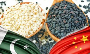 Pakistan, sesame seeds, export, China, GACC,